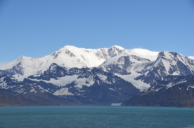 177_Antarctica_South_Georgia.JPG