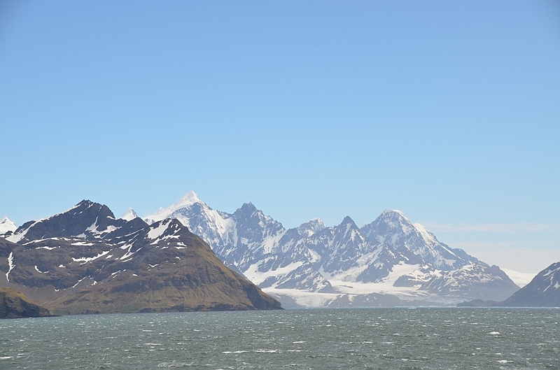 182_Antarctica_South_Georgia.JPG