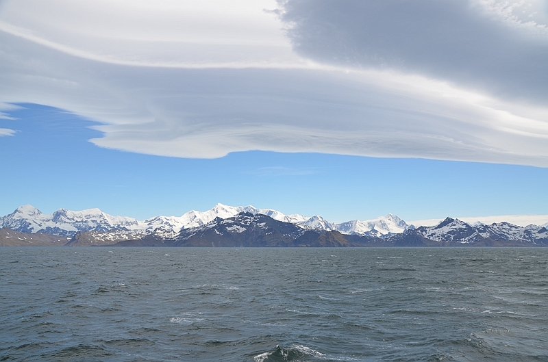 186_Antarctica_South_Georgia.JPG