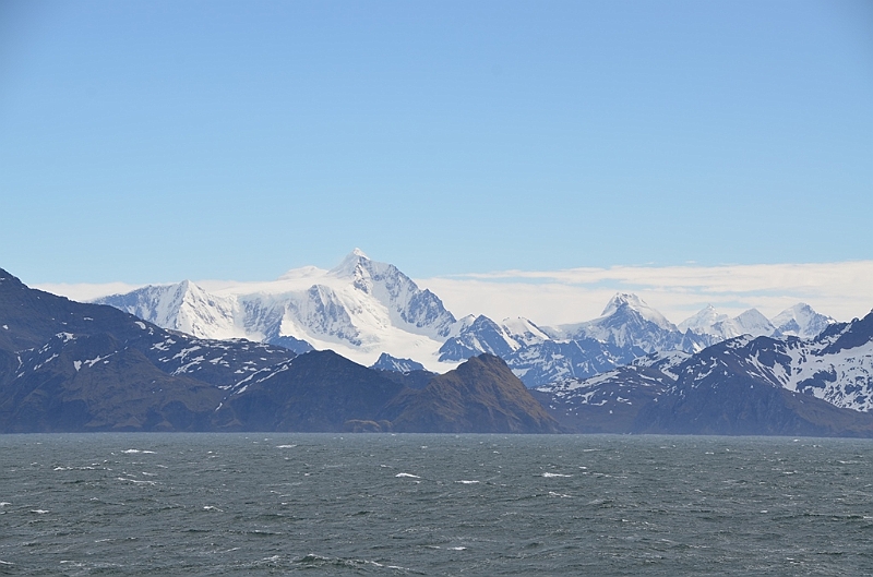 188_Antarctica_South_Georgia.JPG