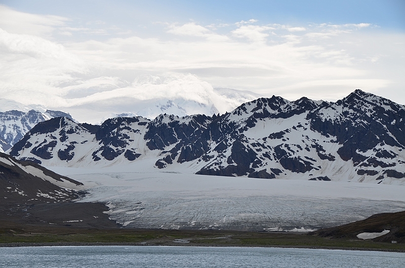 194_Antarctica_South_Georgia.JPG