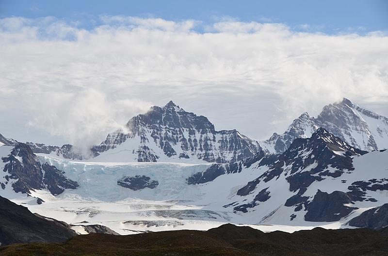 215_Antarctica_South_Georgia_Saint_Andrews_Bay.JPG