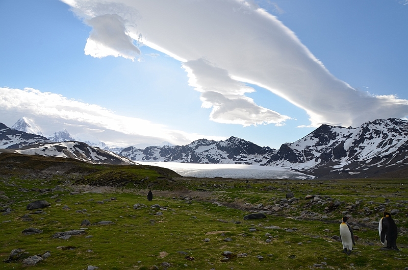 221_Antarctica_South_Georgia_Saint_Andrews_Bay.JPG