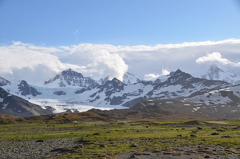 247_Antarctica_South_Georgia_Saint_Andrews_Bay.JPG