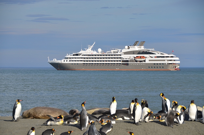 249_Antarctica_South_Georgia_Saint_Andrews_Bay.JPG