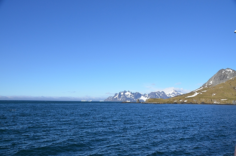 271_Antarctica_South_Georgia_Cooper_Bay.JPG