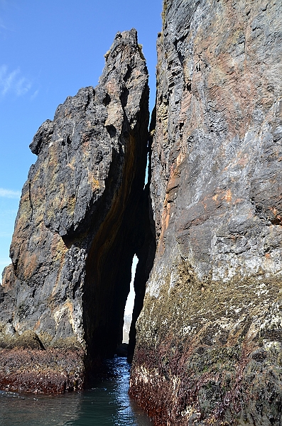 327_Antarctica_South_Georgia_Cooper_Bay.JPG