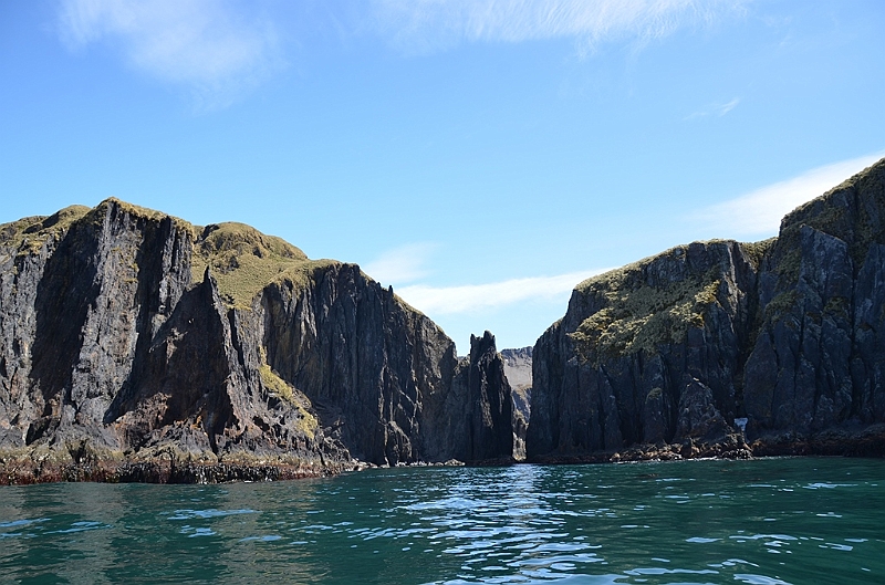 329_Antarctica_South_Georgia_Cooper_Bay.JPG