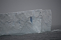 002_Antarctica_South_Georgia_Iceberg