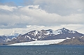 016_Antarctica_South_Georgia
