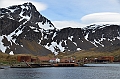 122_Antarctica_South_Georgia_Grytviken