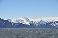 188_Antarctica_South_Georgia