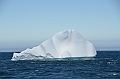 344_Antarctica_South_Georgia_Iceberg