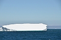 346_Antarctica_South_Georgia_Iceberg