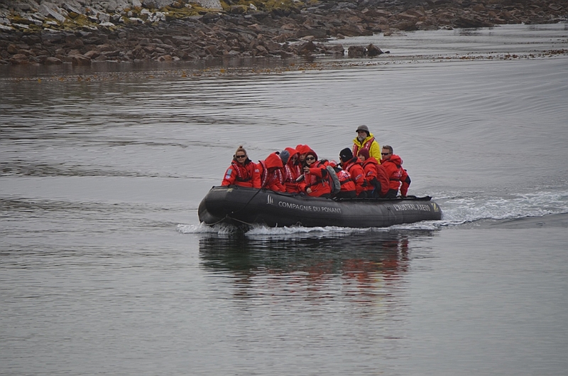 051_Falkland_Islands_New_Island_Zodiac.JPG