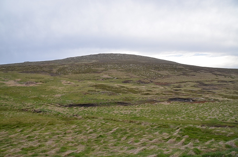 052_Falkland_Islands_New_Island.JPG