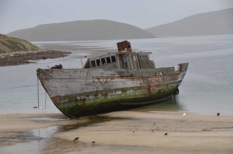 092_Falkland_Islands_New_Island.JPG