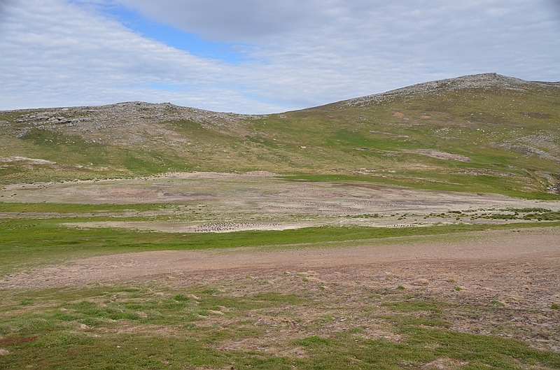 124_Falkland_Islands_Grave_Cove.JPG