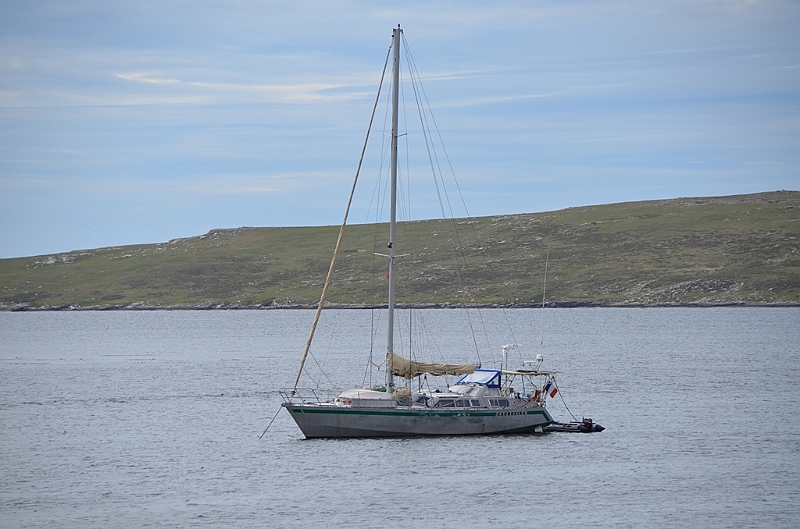 139_Falkland_Islands_Grave_Cove.JPG
