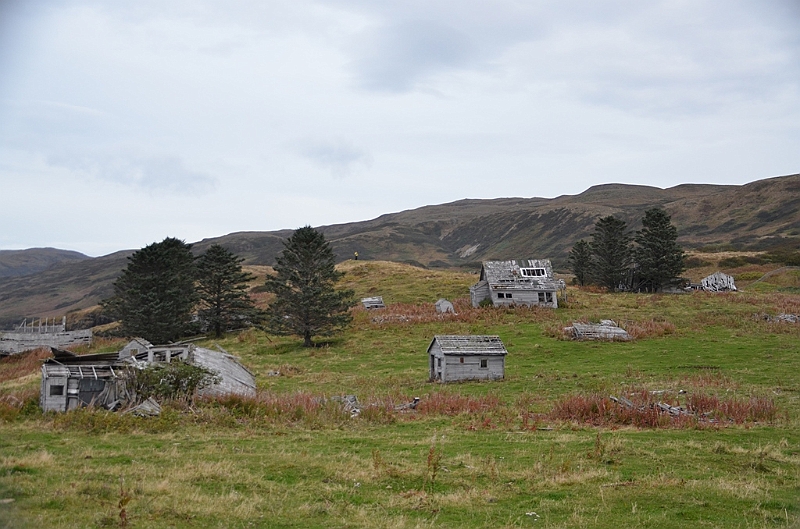 136_USA_Alaska_Unga_Island.JPG