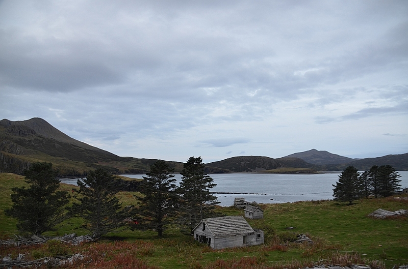 138_USA_Alaska_Unga_Island.JPG