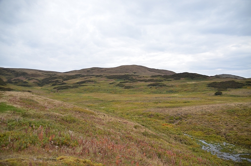 139_USA_Alaska_Unga_Island.JPG