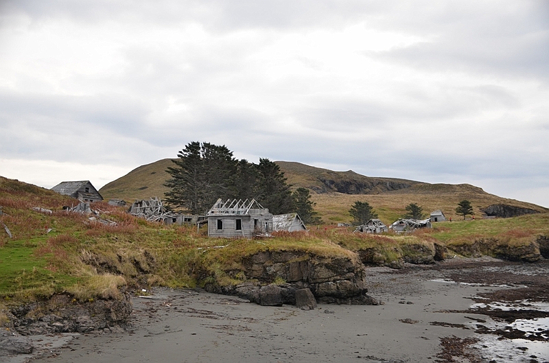146_USA_Alaska_Unga_Island.JPG