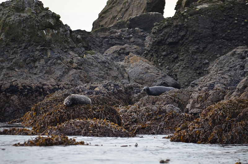 157_USA_Alaska_Unga_Island.JPG