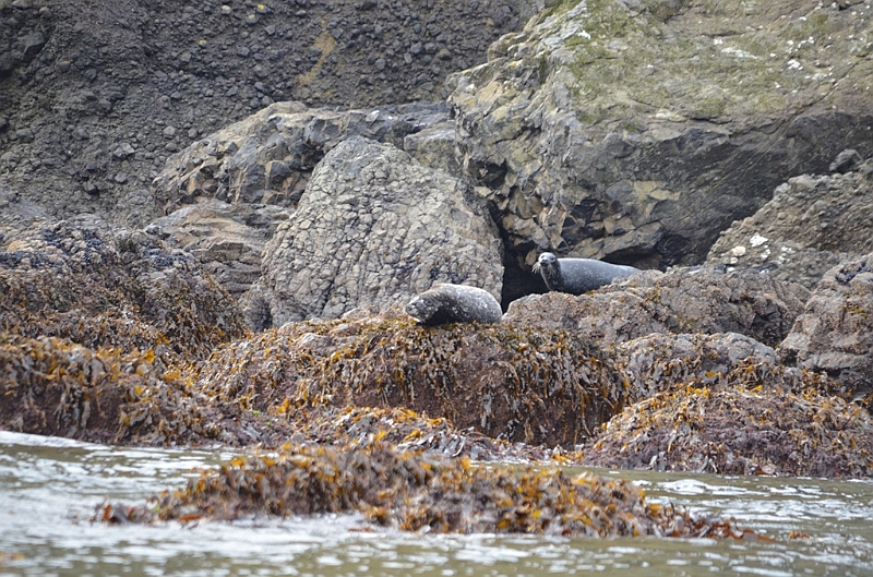 158_USA_Alaska_Unga_Island.JPG
