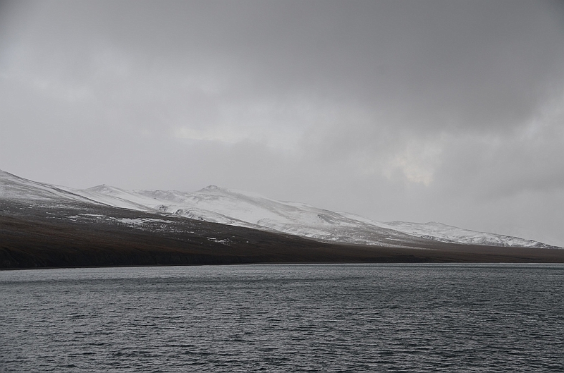 115_Russia_Wrangel_Island.JPG