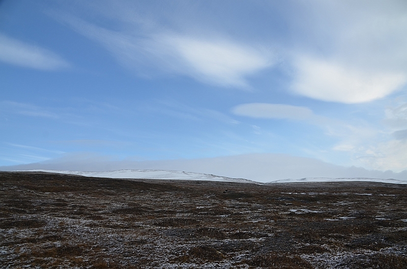 120_Russia_Wrangel_Island.JPG