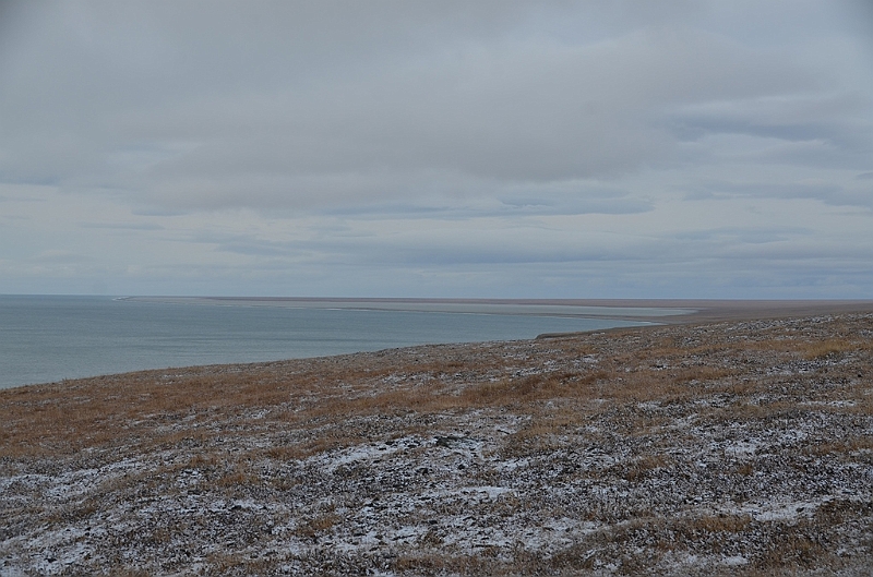 133_Russia_Wrangel_Island.JPG