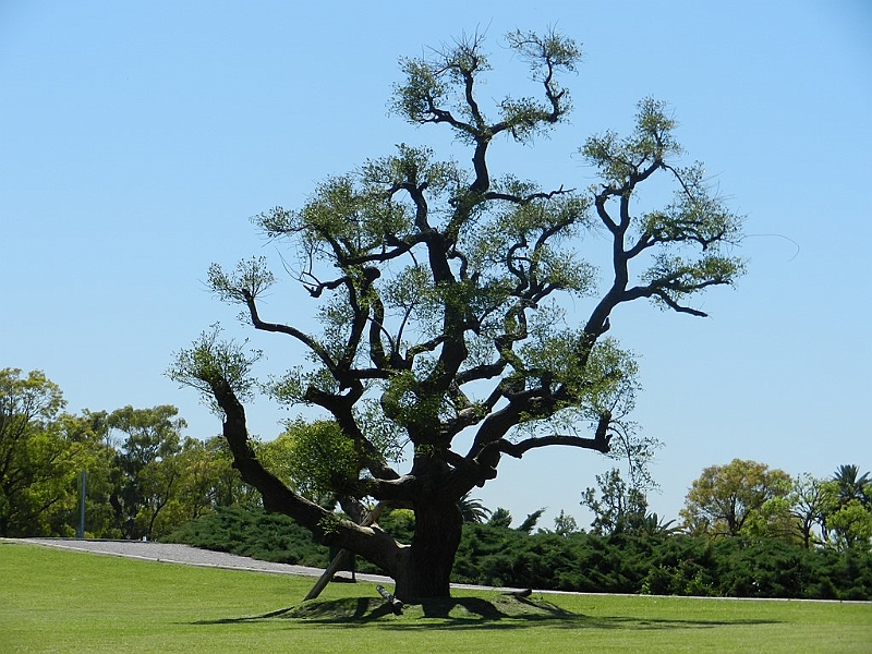 068_Argentina_Buenos_Aires_Floralis_Generica.JPG - 