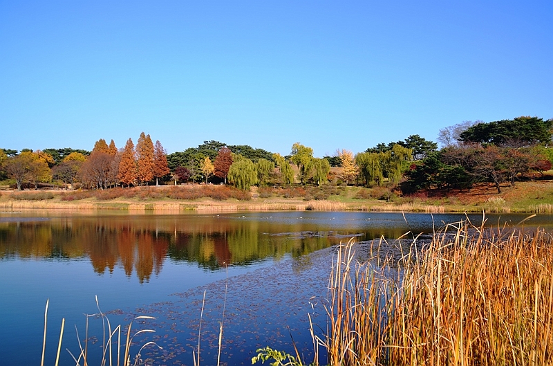 118_South_Korea_Seoul_Olympic_Park.JPG