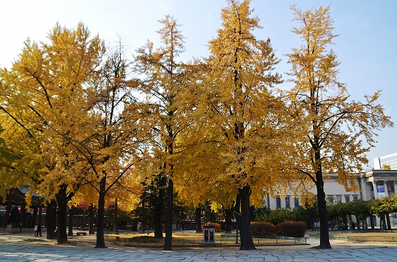 154_South_Korea_Seoul_Deoksugung.JPG