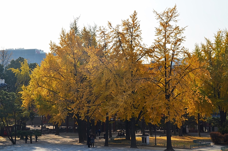 162_South_Korea_Seoul_Deoksugung.JPG