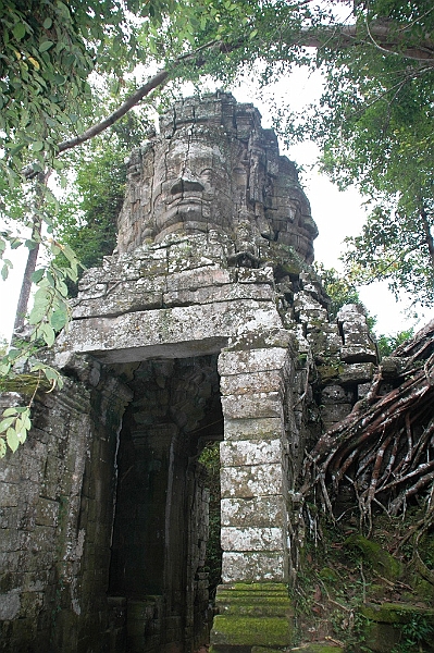 179_Cambodia_Angkor_Ta_Prohm.JPG