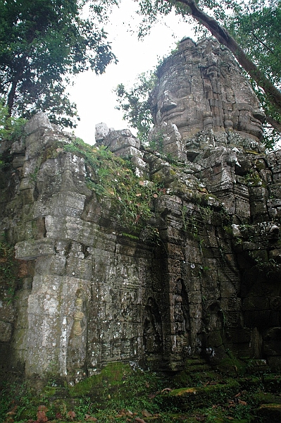 180_Cambodia_Angkor_Ta_Prohm.JPG