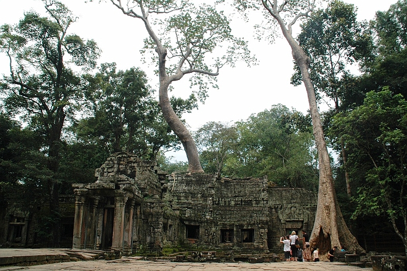 181_Cambodia_Angkor_Ta_Prohm.JPG