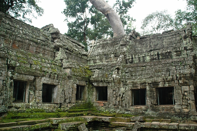 182_Cambodia_Angkor_Ta_Prohm.JPG