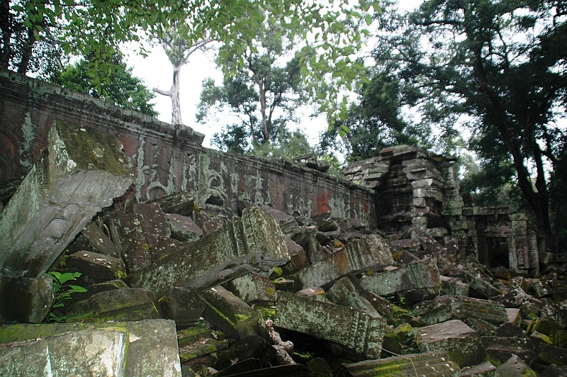 184_Cambodia_Angkor_Ta_Prohm.JPG