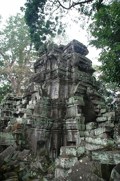 185_Cambodia_Angkor_Ta_Prohm.JPG