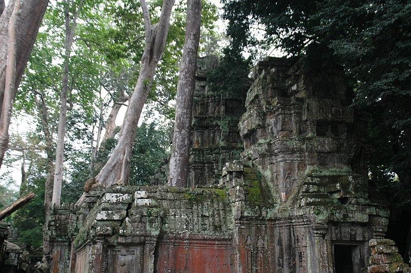 190_Cambodia_Angkor_Ta_Prohm.JPG