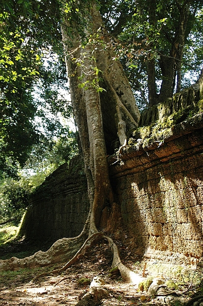 321_Cambodia_Angkor_Preah_Khan.JPG