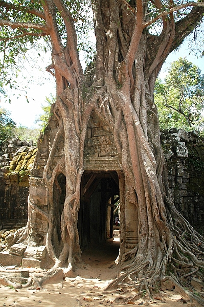 359_Cambodia_Angkor_Ta_Som.JPG