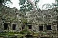 182_Cambodia_Angkor_Ta_Prohm