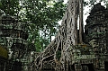 187_Cambodia_Angkor_Ta_Prohm