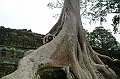 189_Cambodia_Angkor_Ta_Prohm