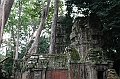 190_Cambodia_Angkor_Ta_Prohm