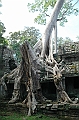 340_Cambodia_Angkor_Preah_Khan